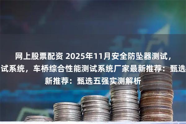 网上股票配资 2025年11月安全防坠器测试，安全防坠器测试系统，车桥综合性能测试系统厂家最新推荐：甄选五强实测解析
